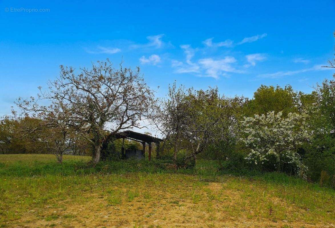 Terrain à CASTAIGNOS-SOUSLENS