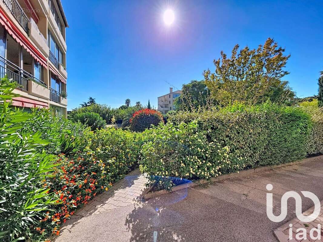 Photo 6 - Appartement à LA SEYNE-SUR-MER