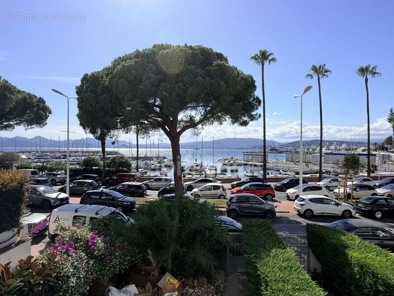 Appartement à vendre 2 pièces CANNES (06) VUE MER PANORAMIQUE - photo 4