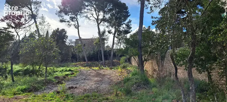 Terrain à COURNONSEC