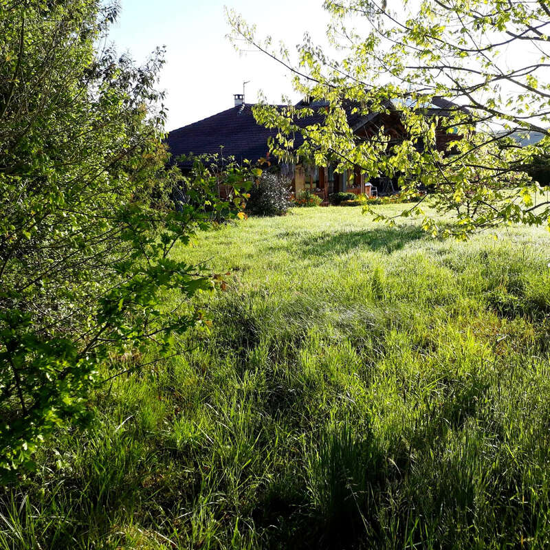 Propriété de 2.5ha avec Maison rénovée, dépendances, Vue Pyrénées - photo 25