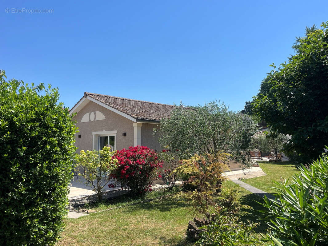 Maison à JASSANS-RIOTTIER