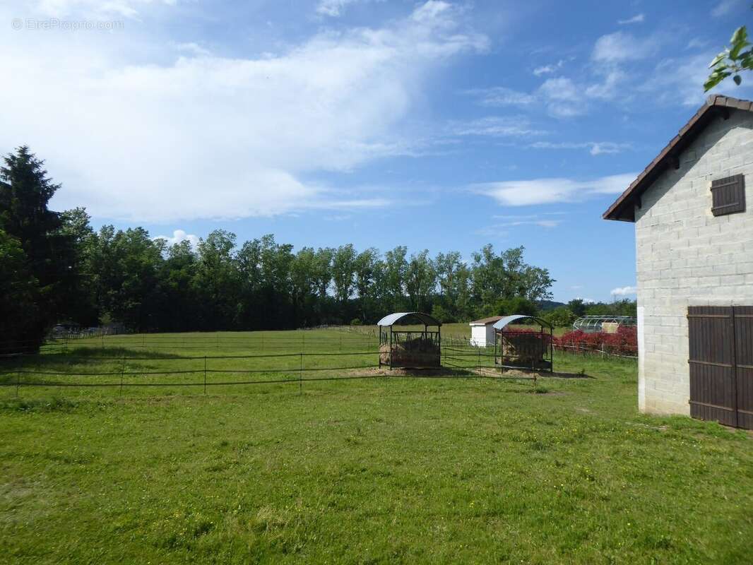 Maison sur grand terrain - photo 11