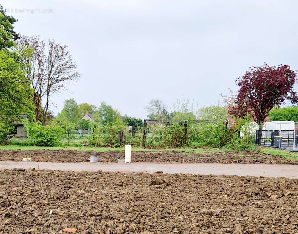Terrain à BAILLEUL