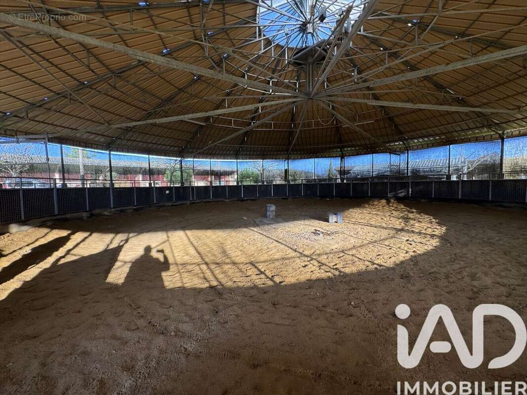 Photo 5 - Maison à CREON-D'ARMAGNAC