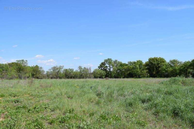 Terrain à GALARGUES