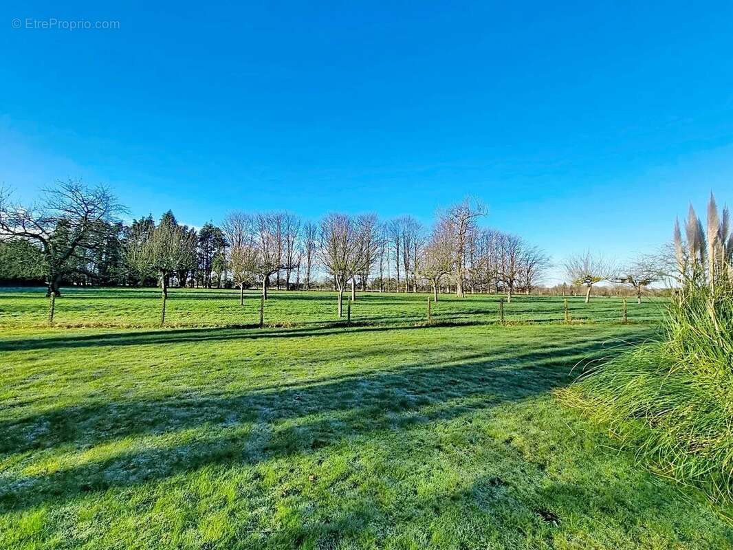 La prairie normande - photo 11