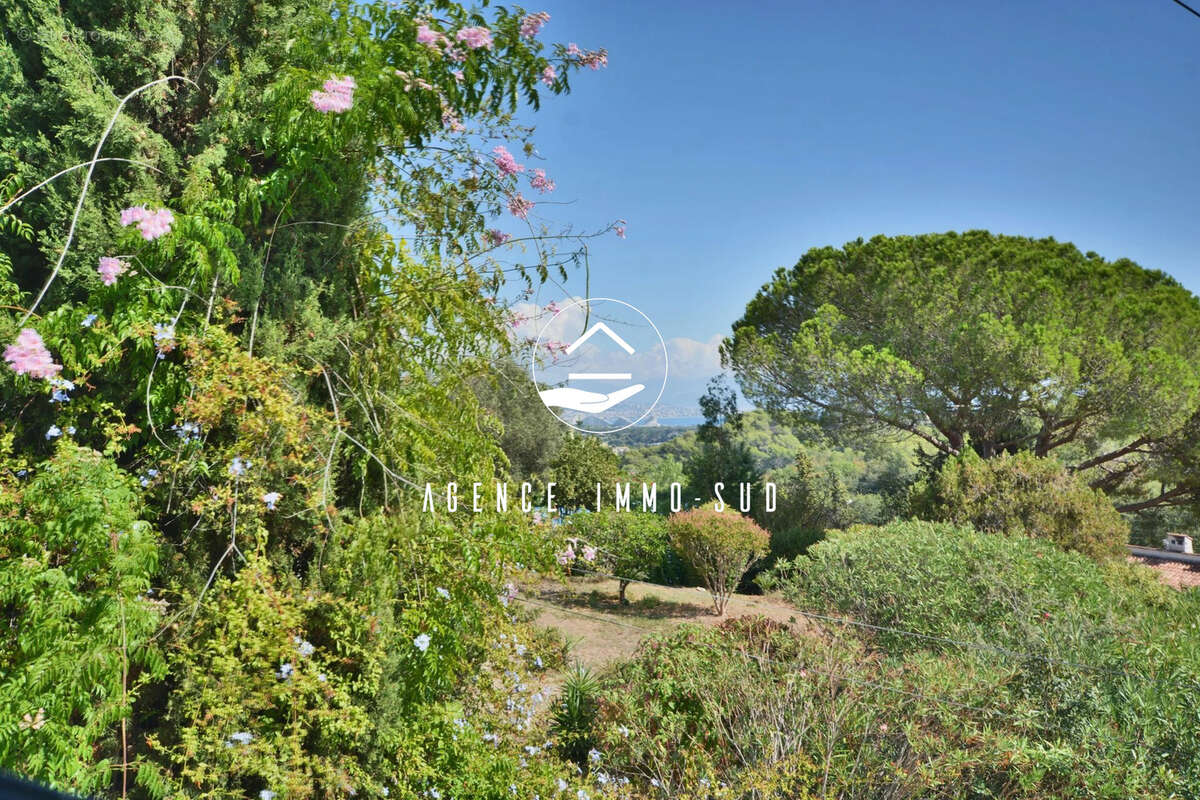 Maison à ANTIBES