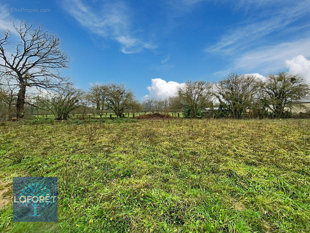 Terrain à SAINT-OUEN-DES-ALLEUX
