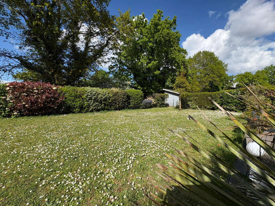Maison à THOUARE-SUR-LOIRE