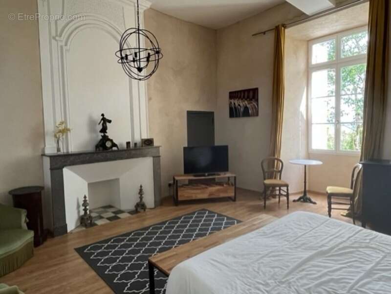 Dpt  (32) : ELEGANT CHATEAU XIX, sans travaux, bases médievales avec douves, piscine, sur 9100m2 jardin clos - photo 48
