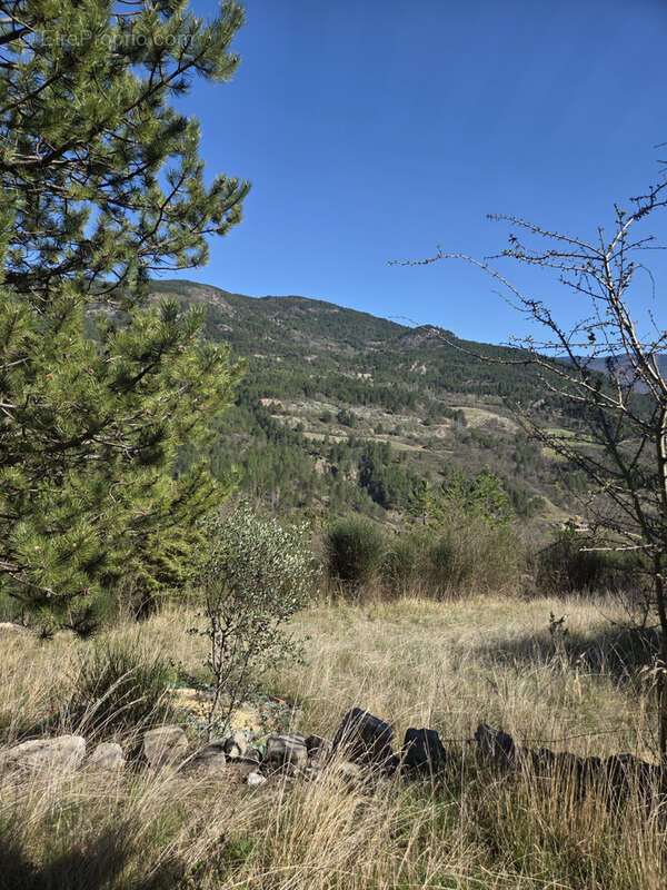 Autre à LA MOTTE-CHALANCON