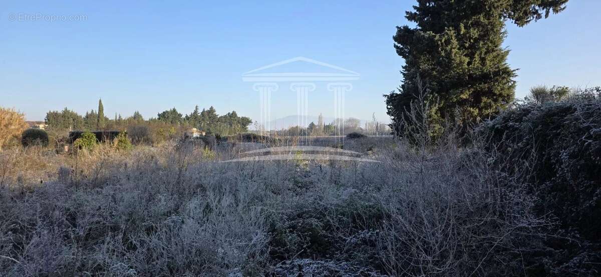 Terrain à JONQUERETTES