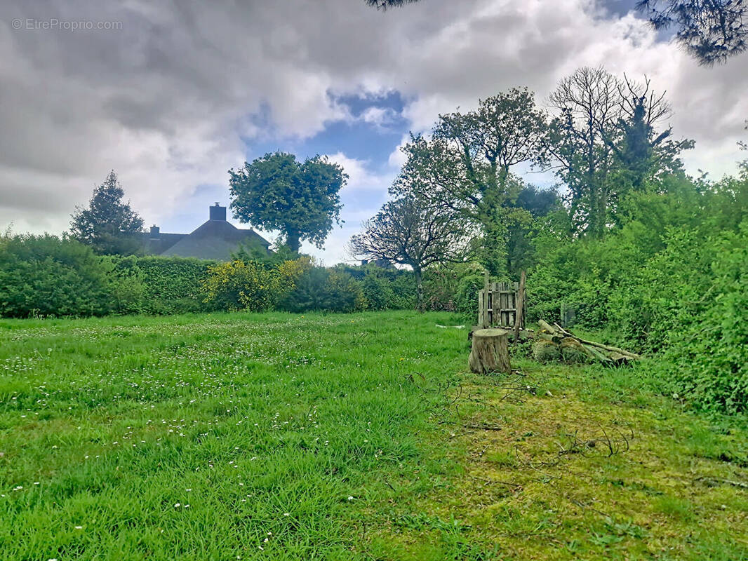 Terrain à SURZUR