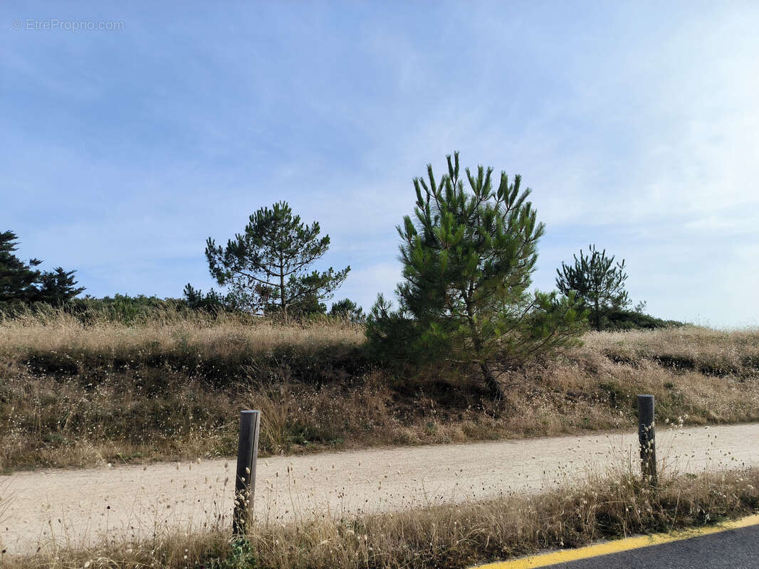 Maison à L&#039;ILE-D&#039;OLONNE