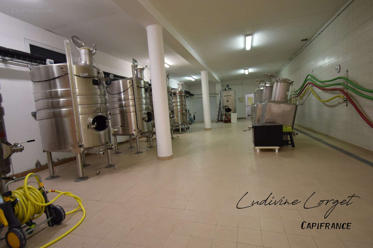 A vendre Local professionnel loué /bureau proche de EPERNAY (51)À vendre – Pressoir - cuverie -stockage -bureaux – 423m2 - photo 14