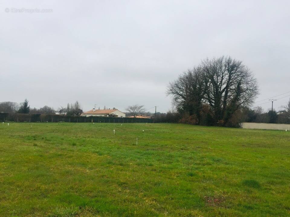 Terrain à ARVERT