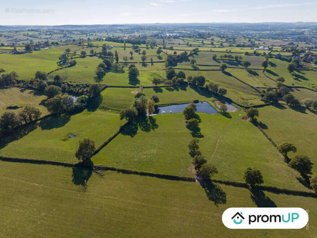 Terrain à SAINT-LAURENT-D'ANDENAY