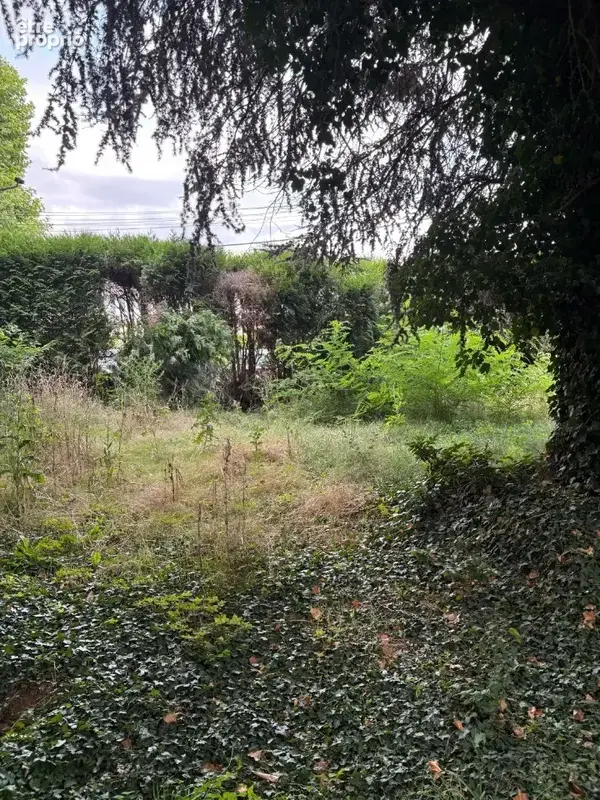 Terrain à MONTIGNY-LES-CORMEILLES