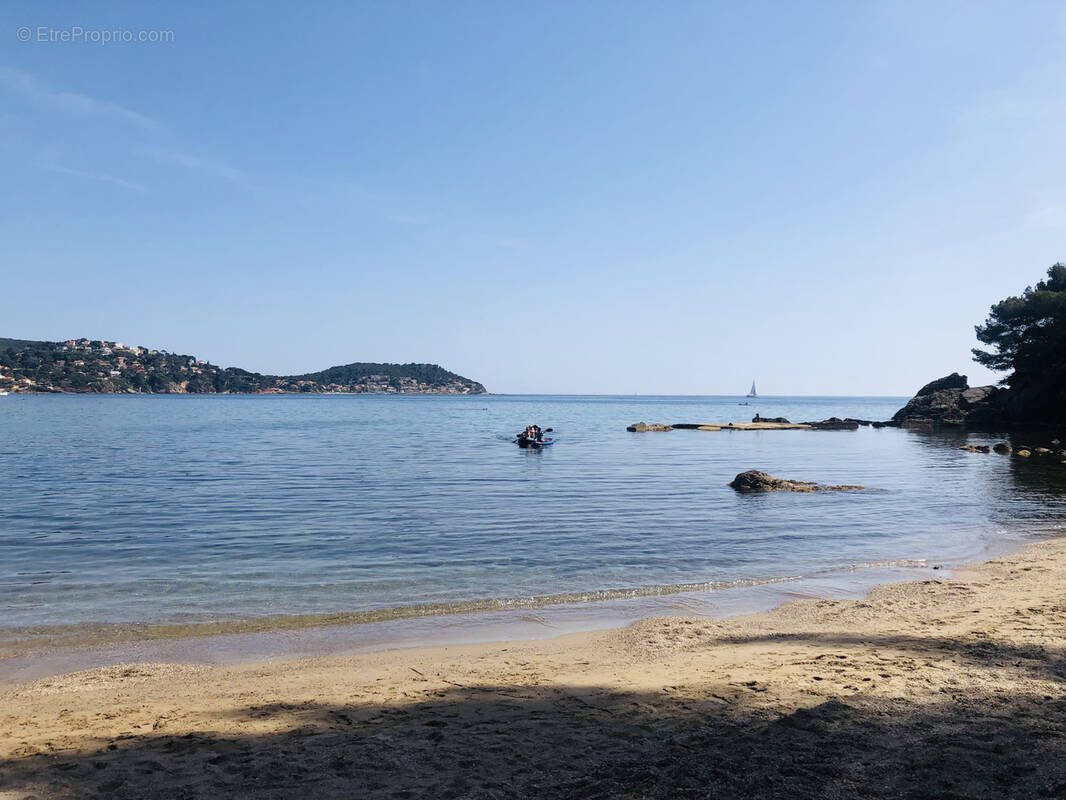 Appartement à LE PRADET