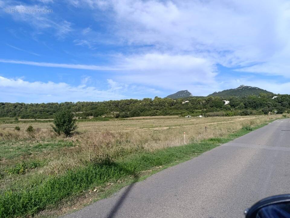 Terrain à SAINT-MATHIEU-DE-TREVIERS