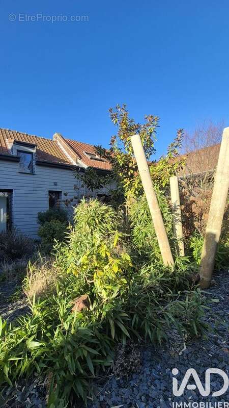 Photo 4 - Maison à LANDAS