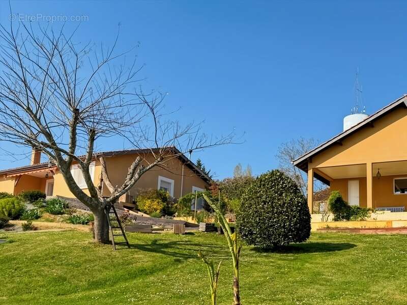 Maison à vendre 4 pièces et studio - LUPIAC (32) - 145 m2 - 2497 m2 de terrain - photo 2