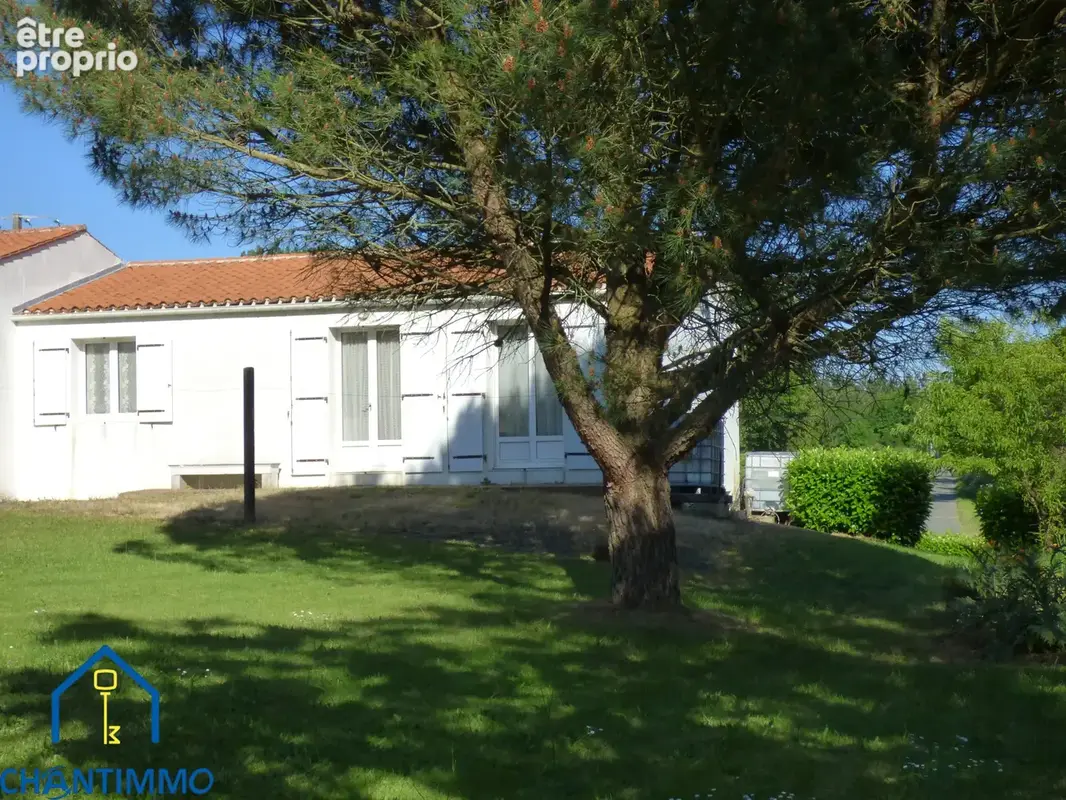 Pavillon sur sous-sol avec accès plain-pied - photo 2