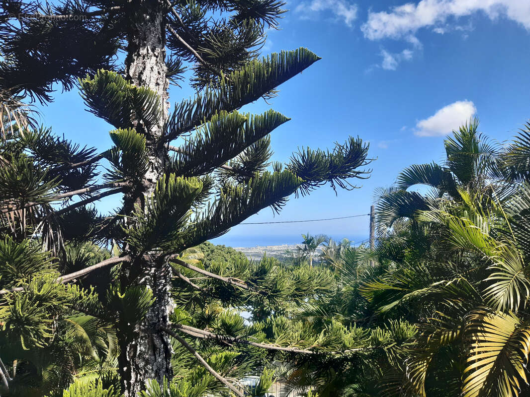 Terrain à SAINT-PAUL