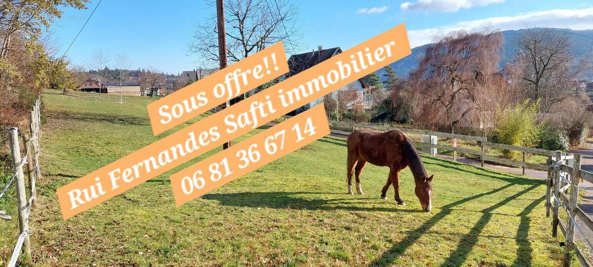 Photo 1 - Terrain à LUTZELHOUSE