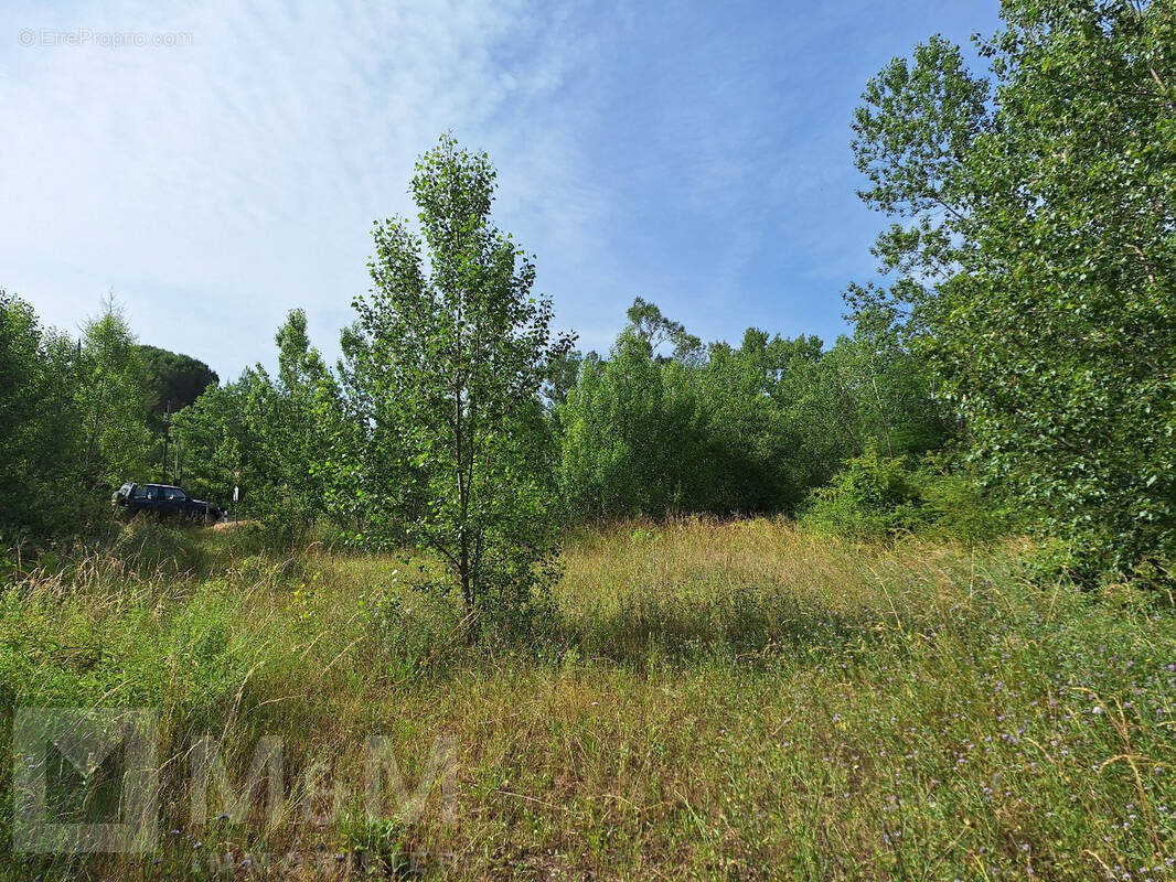 Terrain à CAMPAGNE-SUR-AUDE