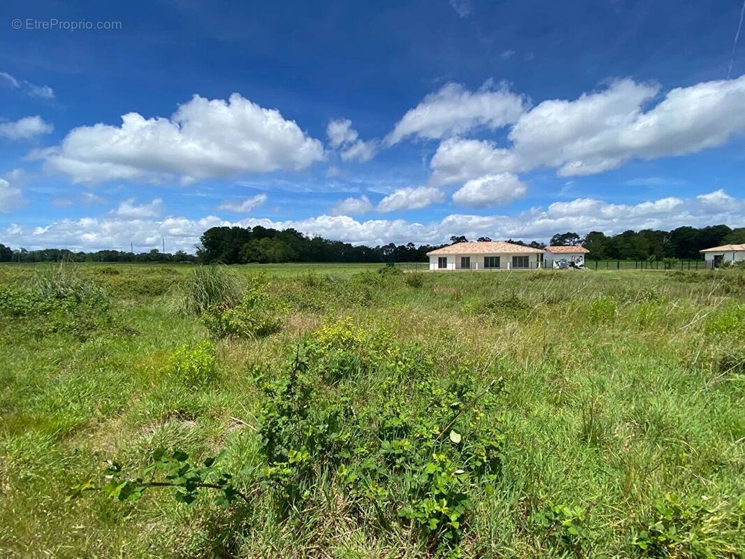 Terrain à SAINT-VINCENT-DE-PAUL