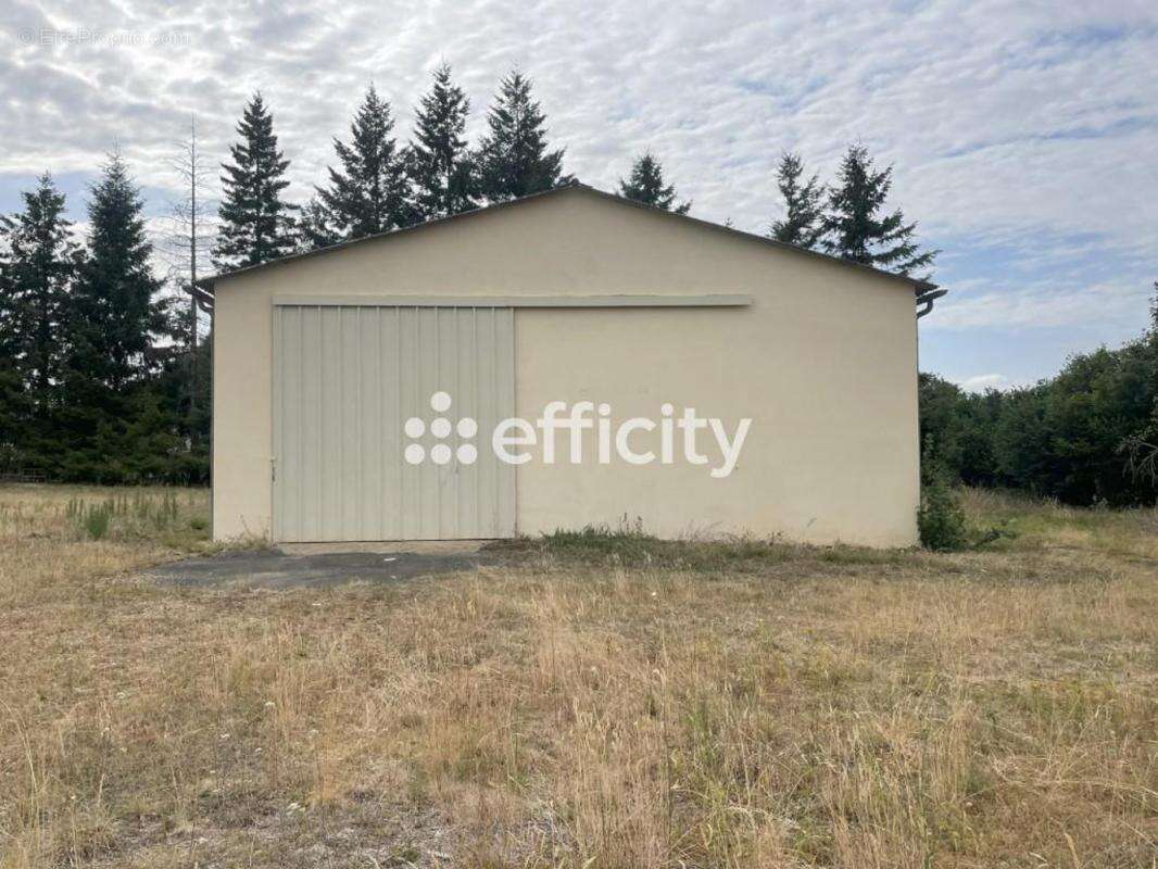 Locaux/Biens immobiliers - photo 10
