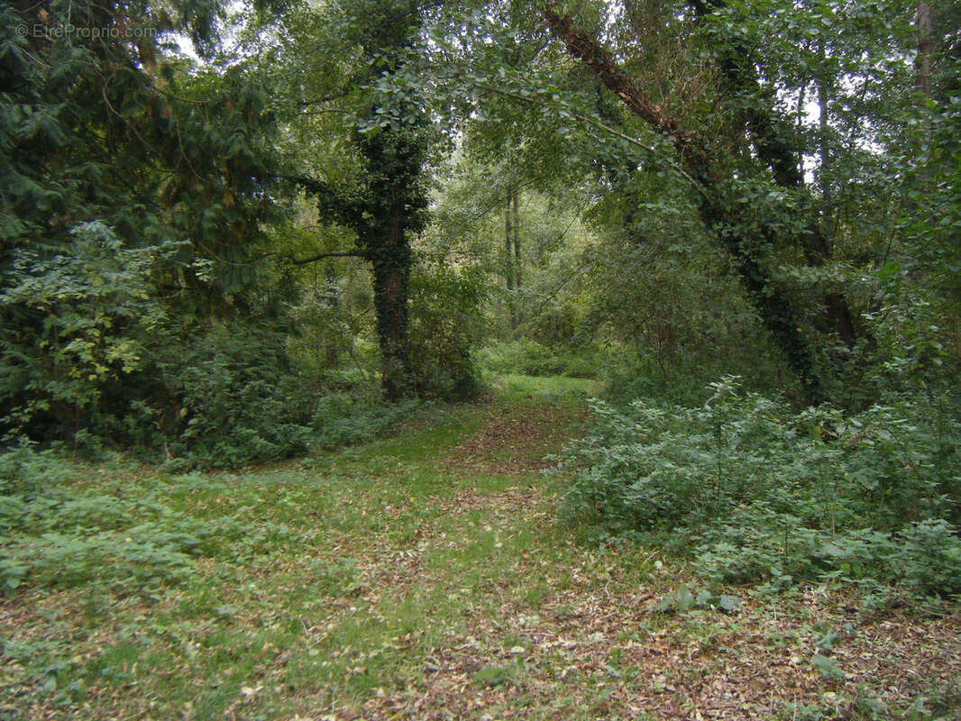 Maison à CLOYES-SUR-LE-LOIR