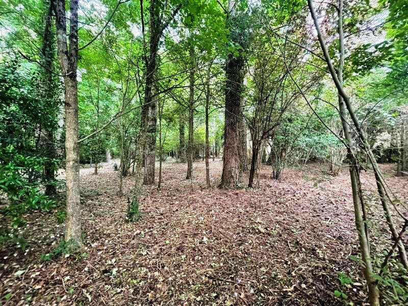 Terrain à MIGNALOUX-BEAUVOIR