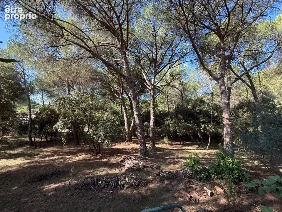 Terrain 968 m² à vendre à Nages-Et-Solorgues (30114) - photo 2