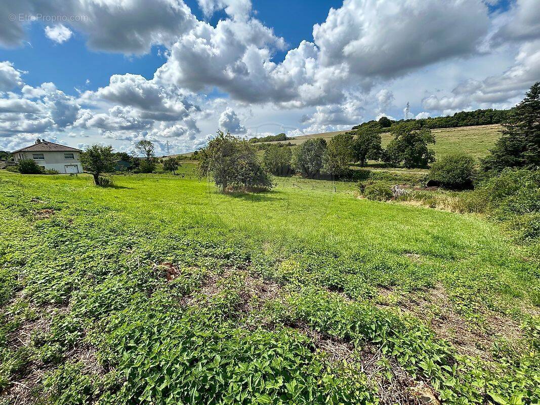 Terrain à SENONCOURT-LES-MAUJOUY