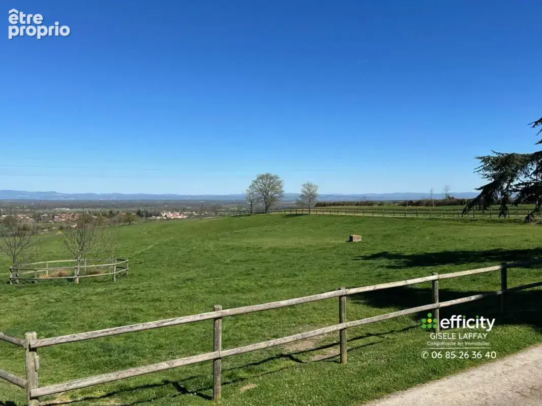 Maison 6 pièces 254 m² à vendre à Montbrison (42600) - photo 9