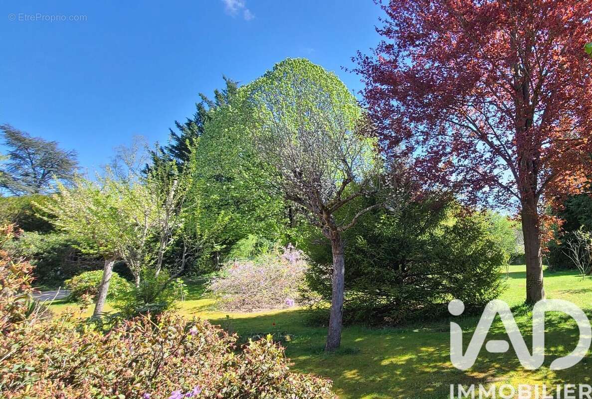 Photo 6 - Maison à CHEVREUSE