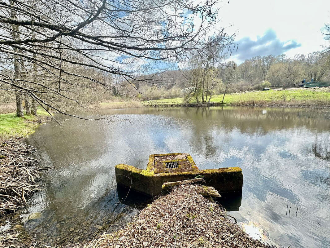 Terrain à RIGNOVELLE