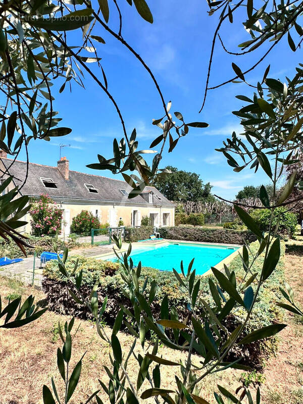 Maison à SOULAIRE-ET-BOURG