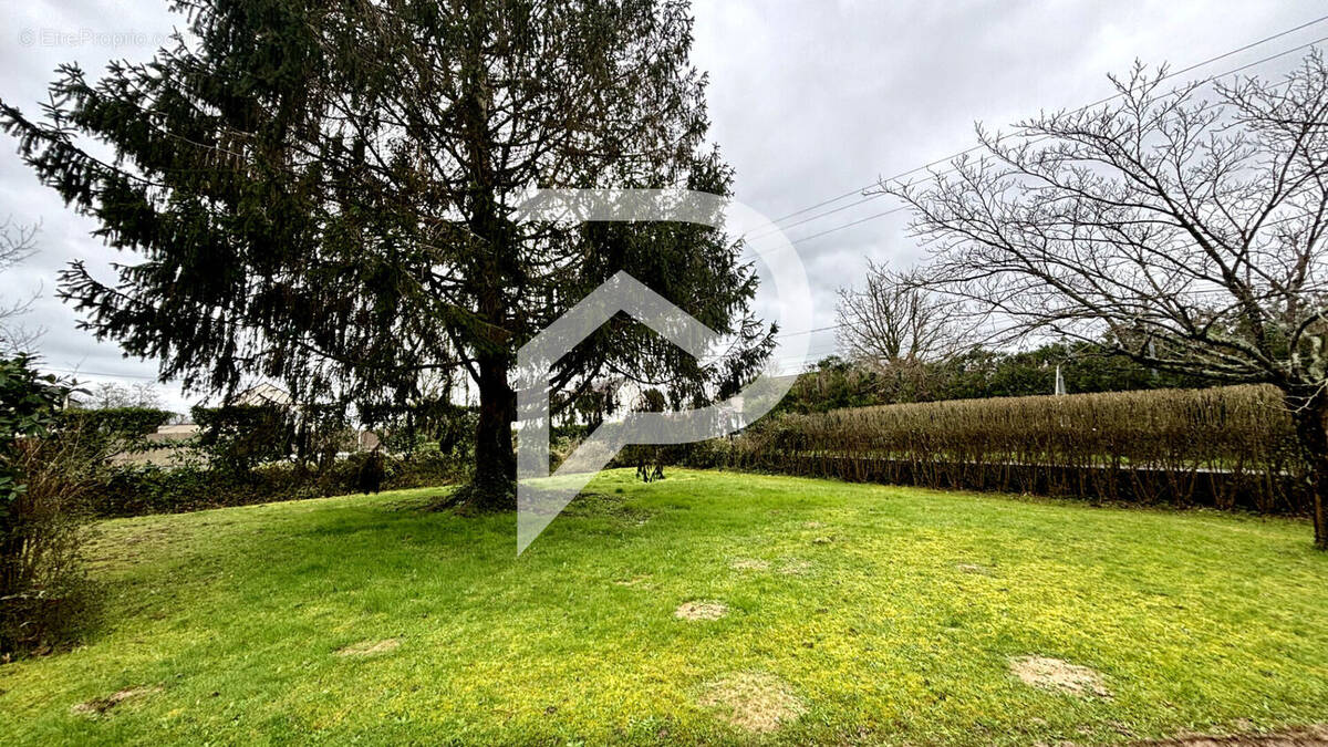 Terrain à VIGNEUX-DE-BRETAGNE