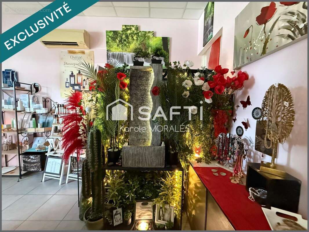 Photo 5 - Commerce à SALEILLES