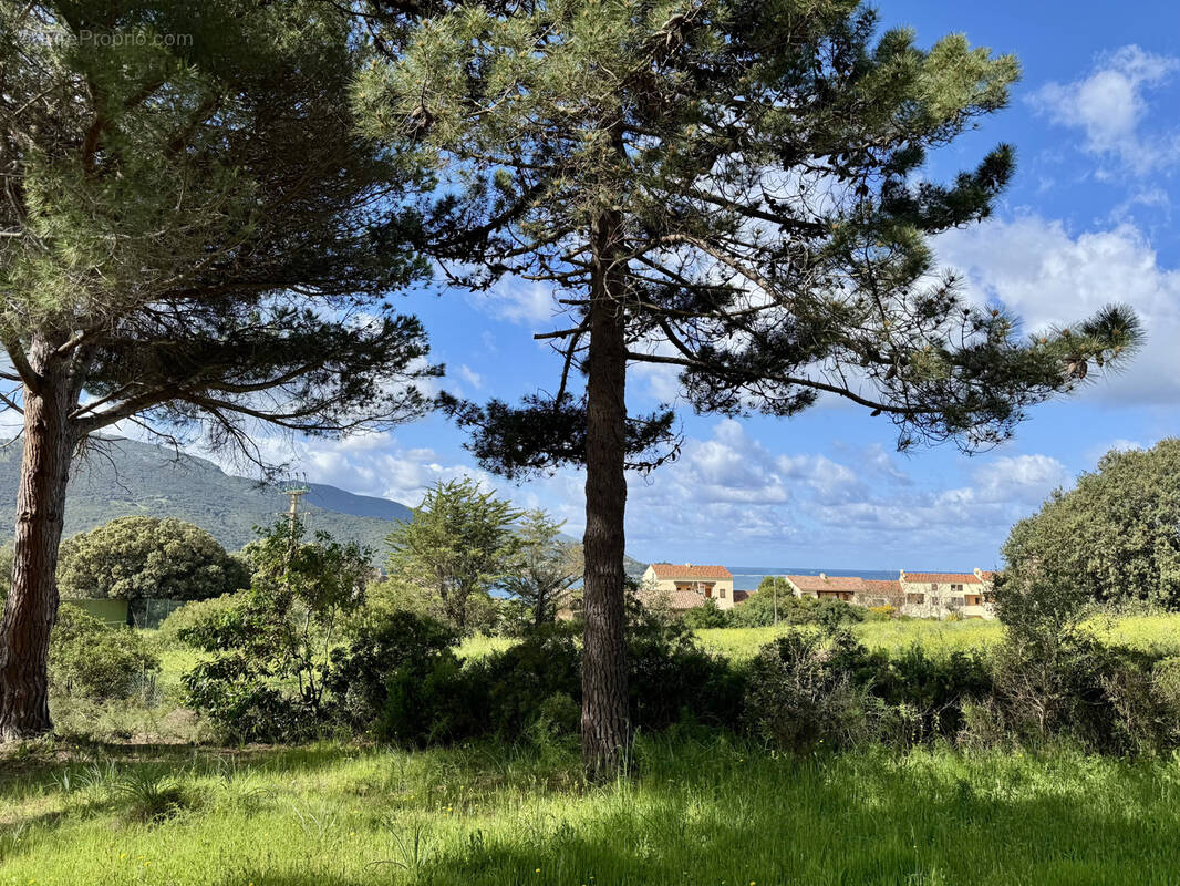 Terrain à CALCATOGGIO