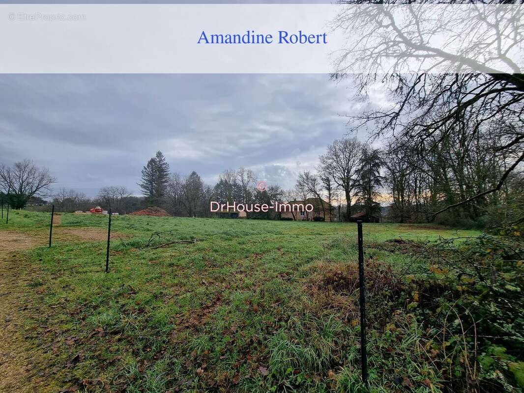 Terrain à SAINTE-ALVERE