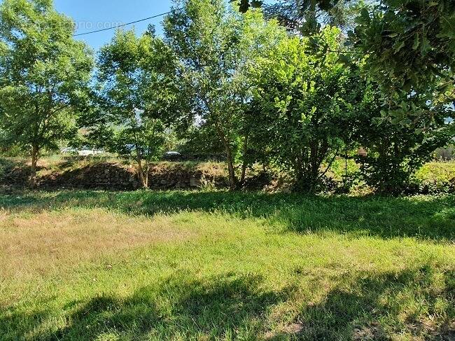 Terrain à ILLE-SUR-TET