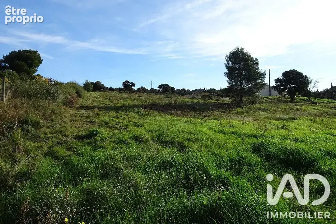 Photo 1 - Terrain à SAINT-ANDRE-DE-ROQUELONGUE