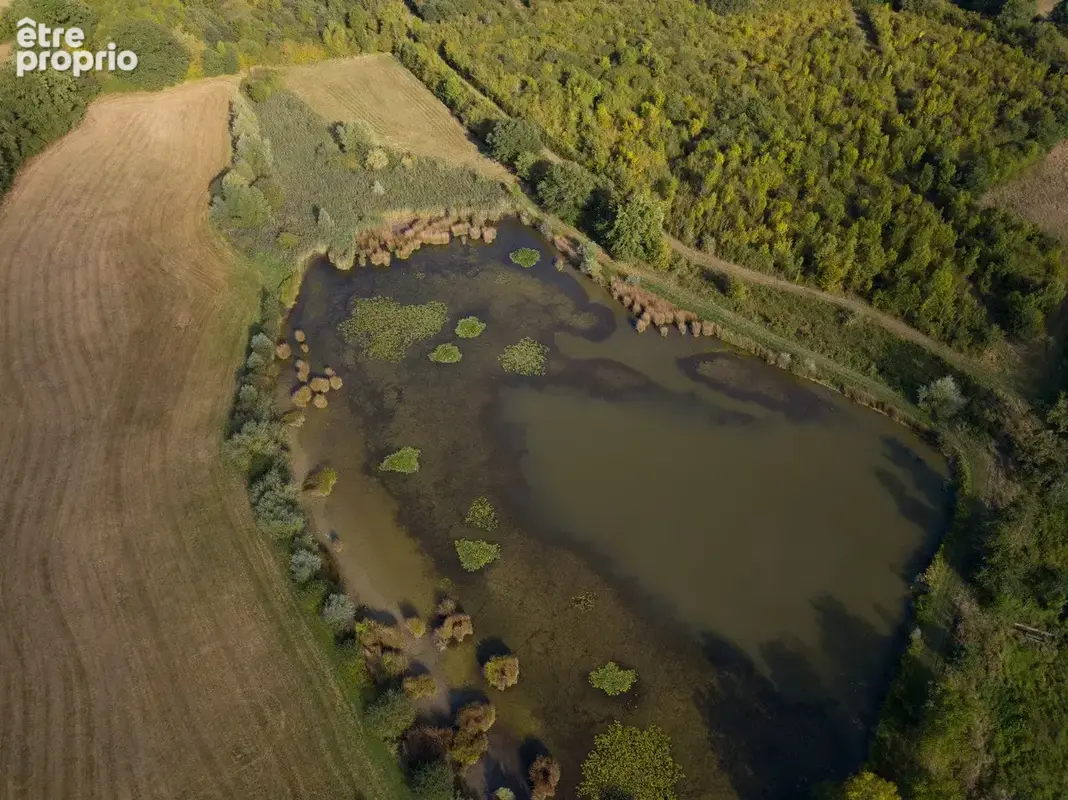 Sud Cher : pté 40 ha : grange réhabilitée, dépendances, étang, prairie, taillis - photo 14