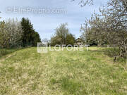 Terrain à COUSANCE