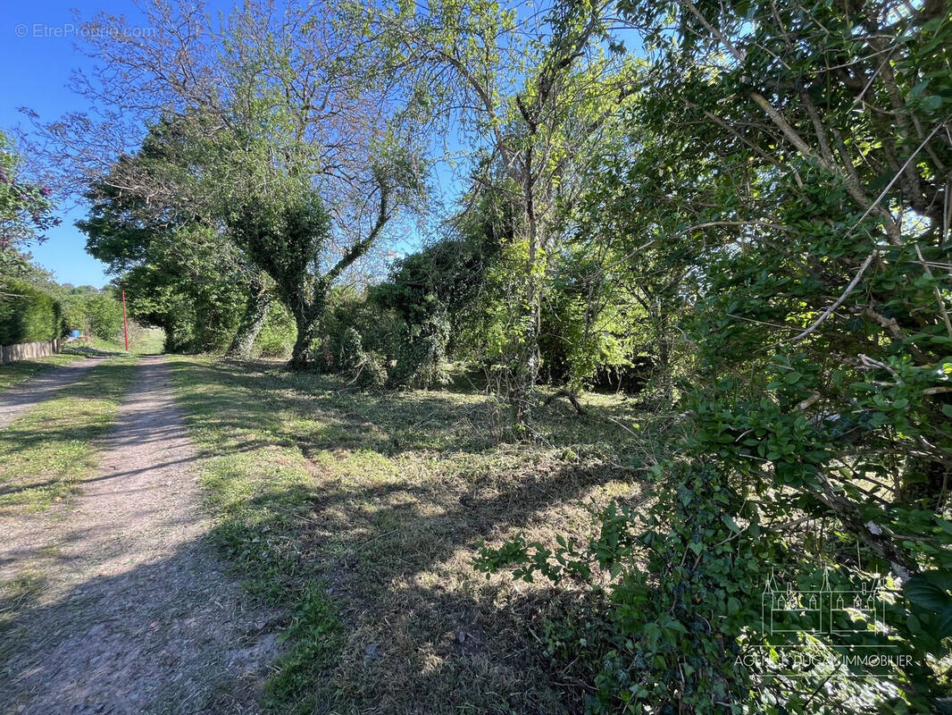 Terrain à SAINT-BENIN-D'AZY